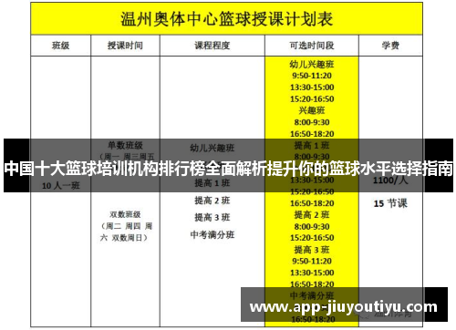 中国十大篮球培训机构排行榜全面解析提升你的篮球水平选择指南