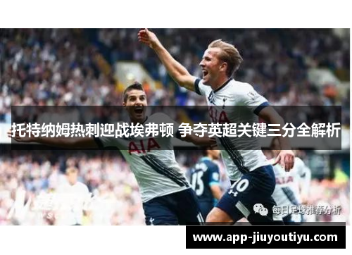 托特纳姆热刺迎战埃弗顿 争夺英超关键三分全解析